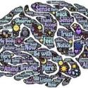 Image of a brain with many different words contained within the different sections describing various sensations, actions, and thought processes